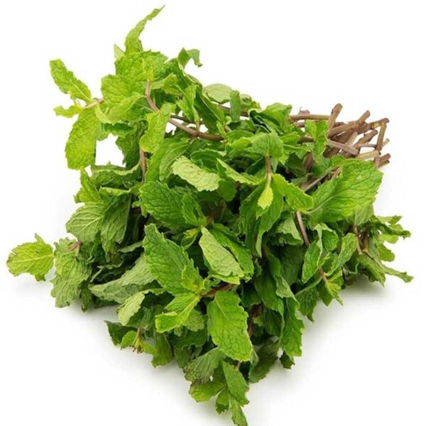 Fresh Mint Leaves (Pudina) – Aromatic, Flavorful & Versatile - 100G